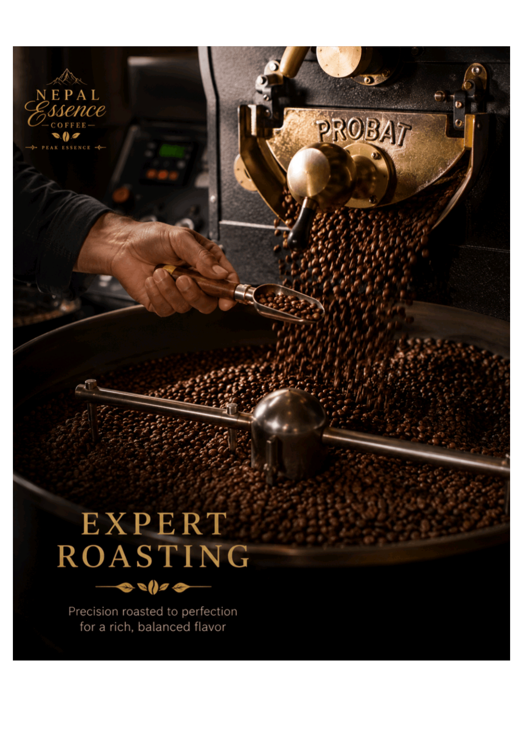 Roasted Coffee Beans